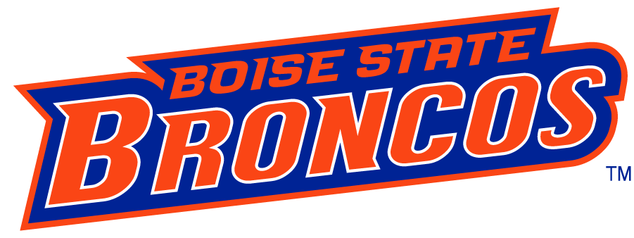 Boise State Broncos 2002-2012 Wordmark Logo v5 t shirts iron on transfers